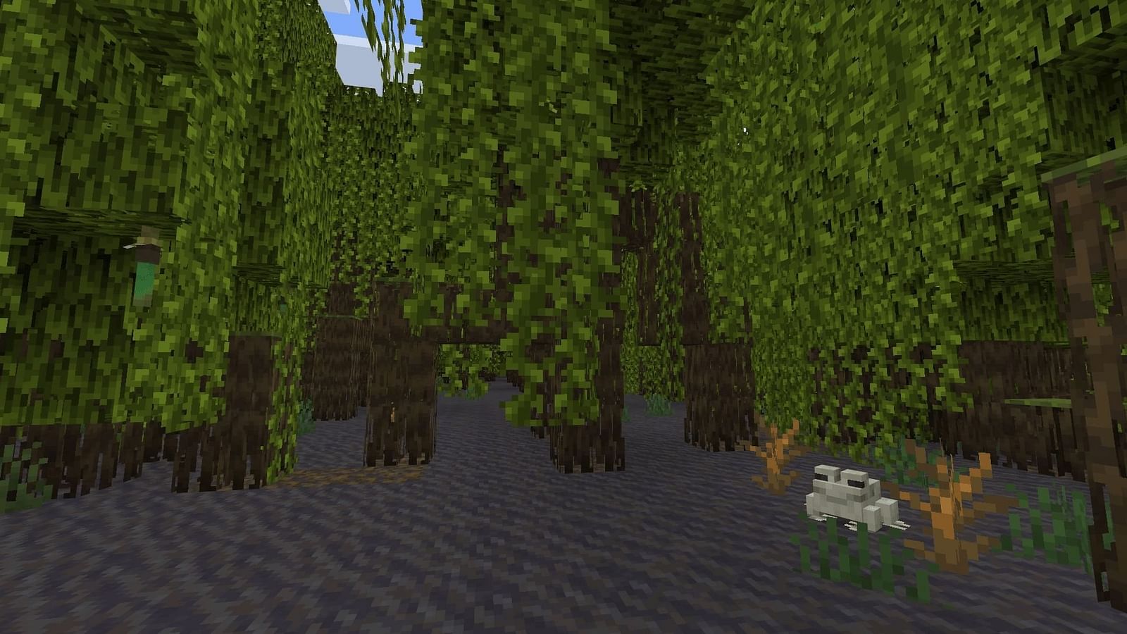 5 best Minecraft 1.19 seeds for beautiful biomes