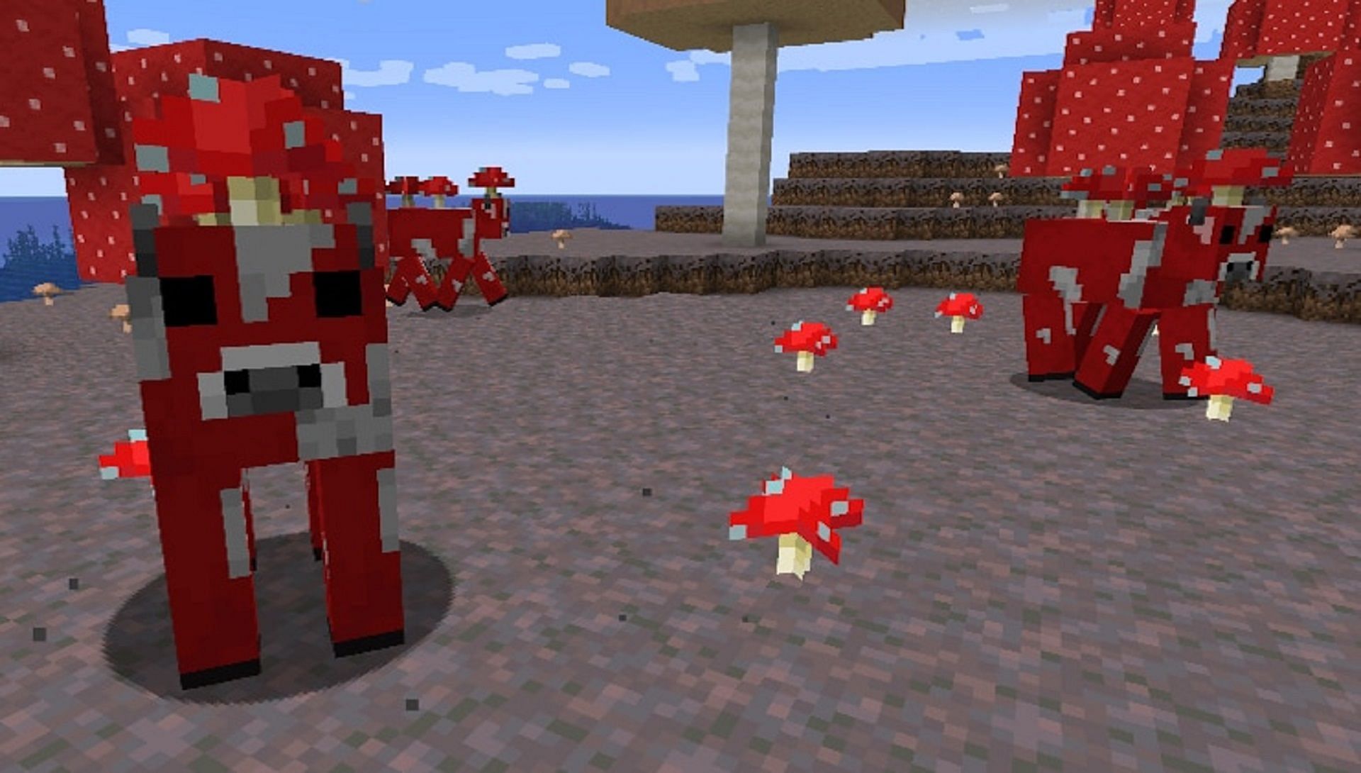A mushroom field biome can be a huge help to new players (Image via Minecraft.net)