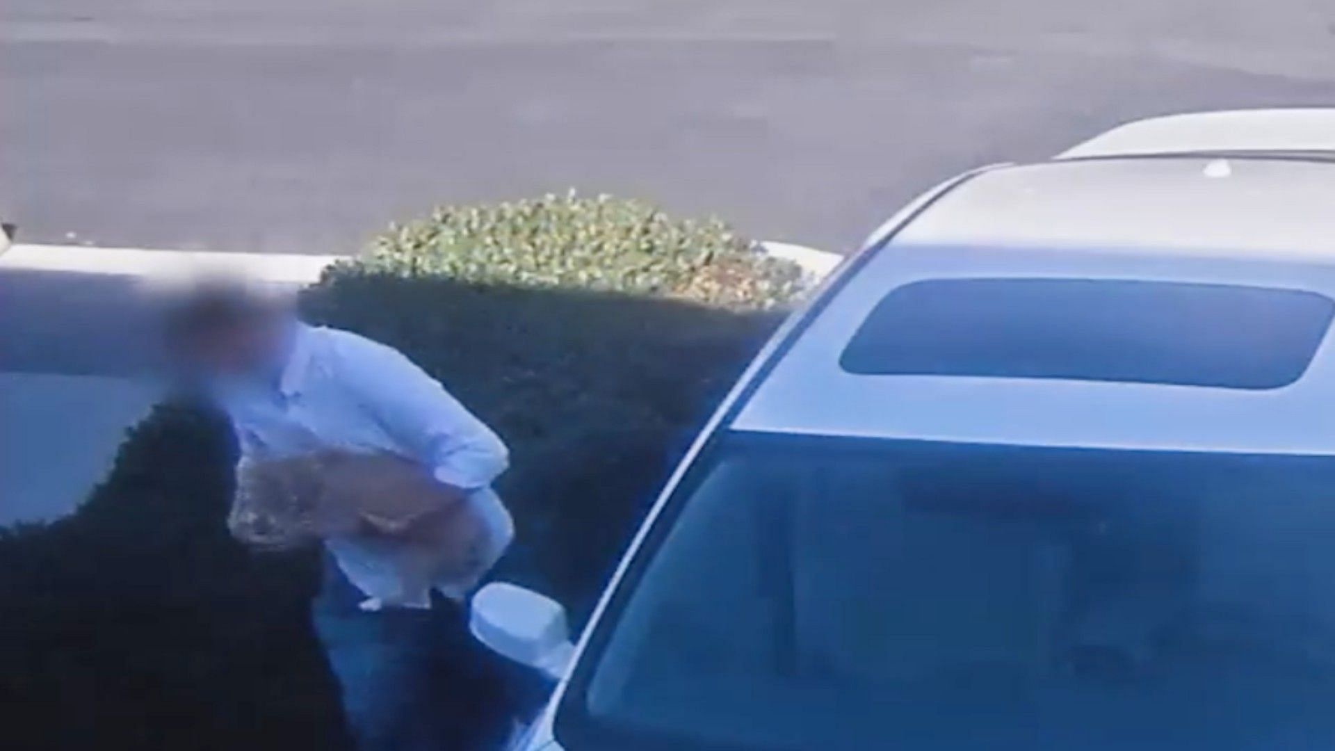 California man steals dog from a car (Image via Irvine police department/Facebook)