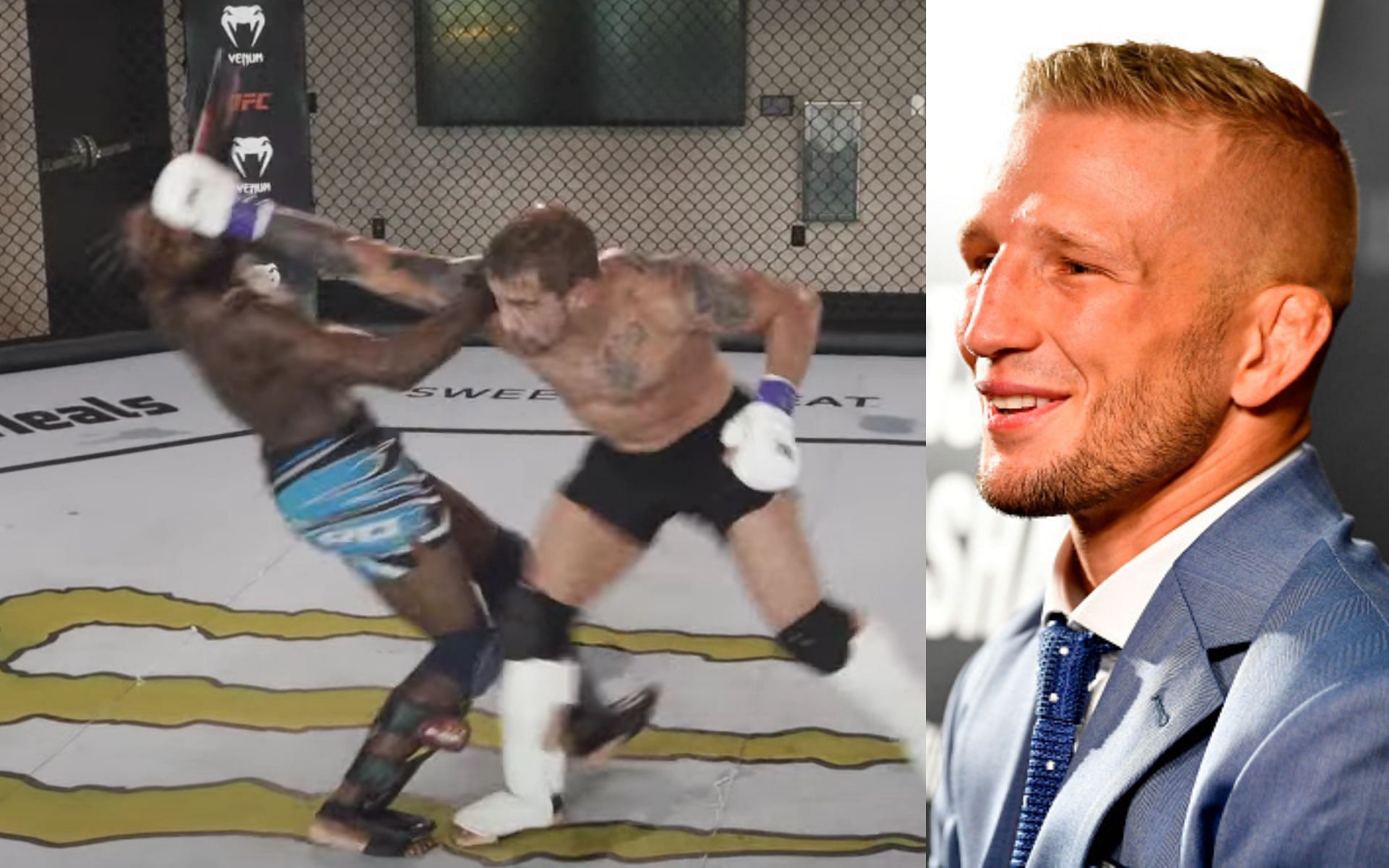 Aljamain Sterling and J.P. Buys (left. Image credit: Aljamain Sterling on YouTube), T.J. Dillashaw (right)