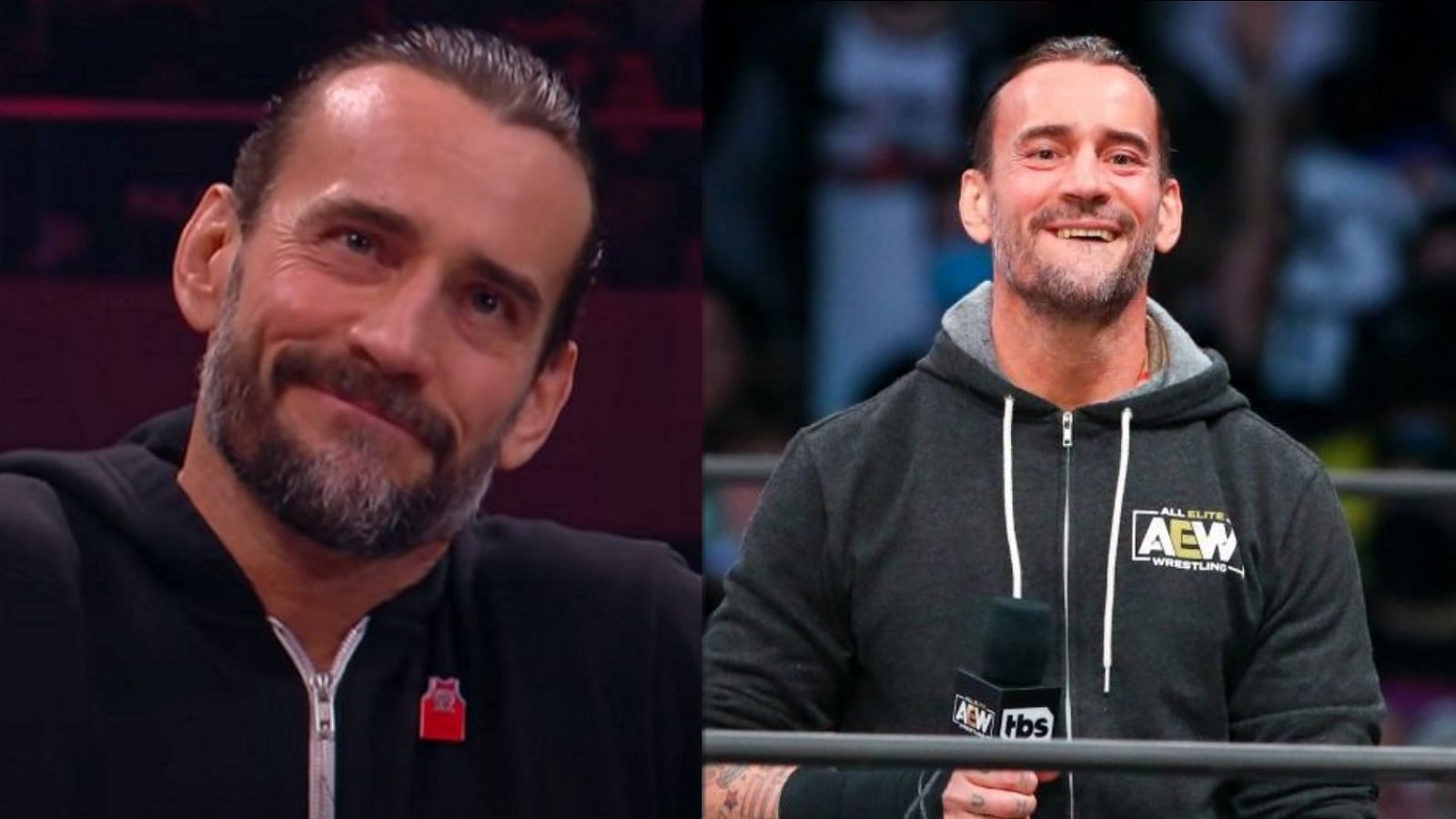 CM Punk is a 20 year wrestling veteran.