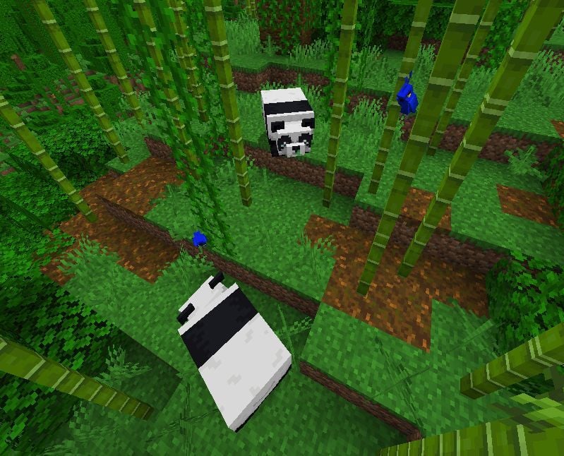 Panda Roux Minecraft Bamboo Jungle in Minecraft