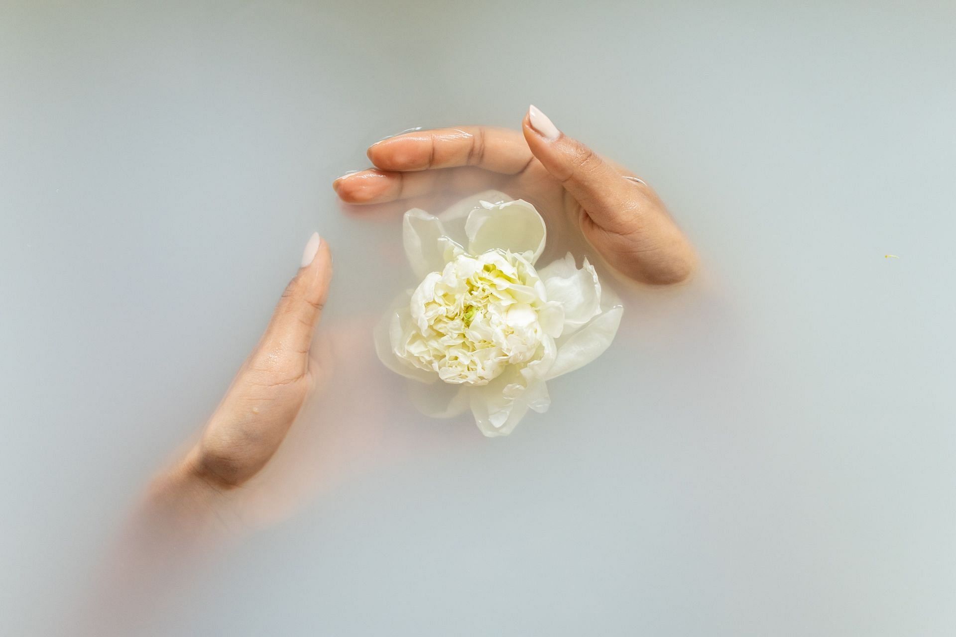 Our mental health is as delicate as a flower. (Image via Pexels/Monstera)