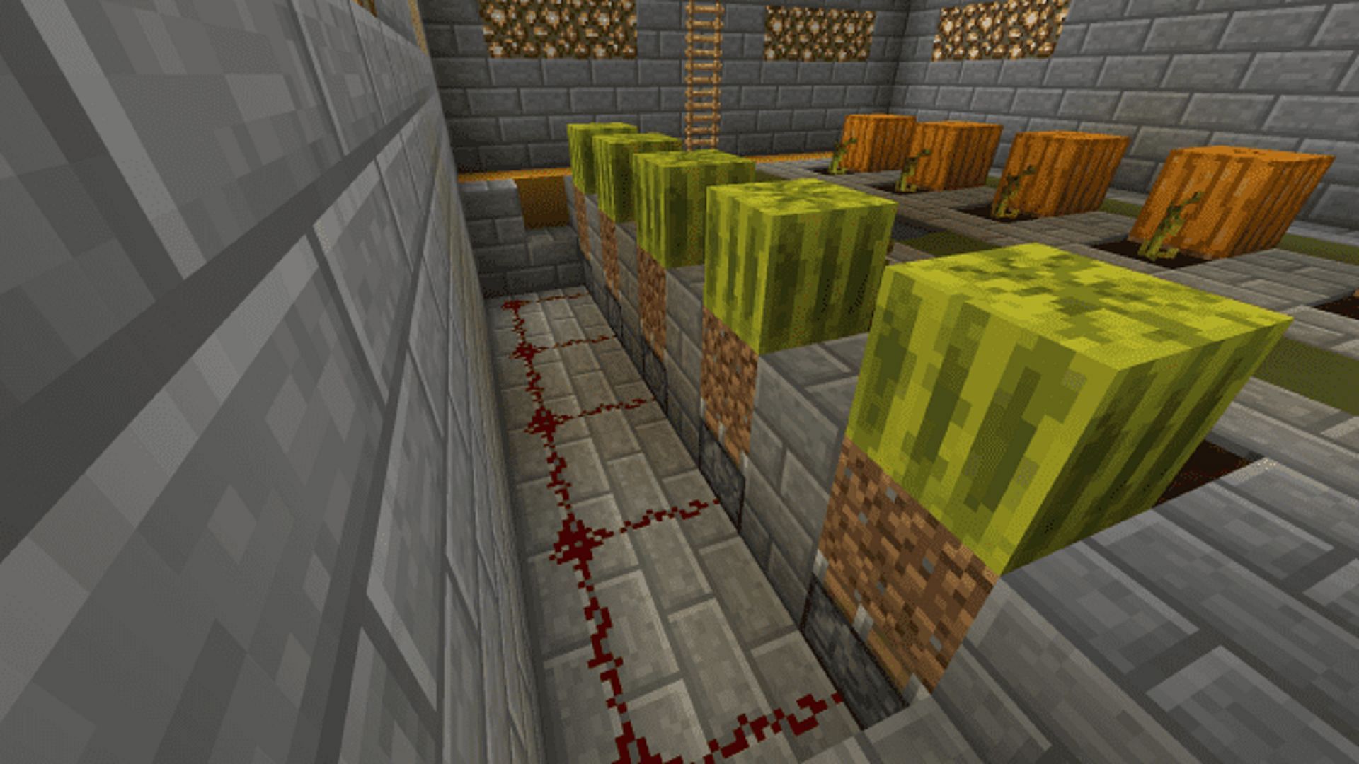 An underground pumpkin/melon farm (Image via Mojang)