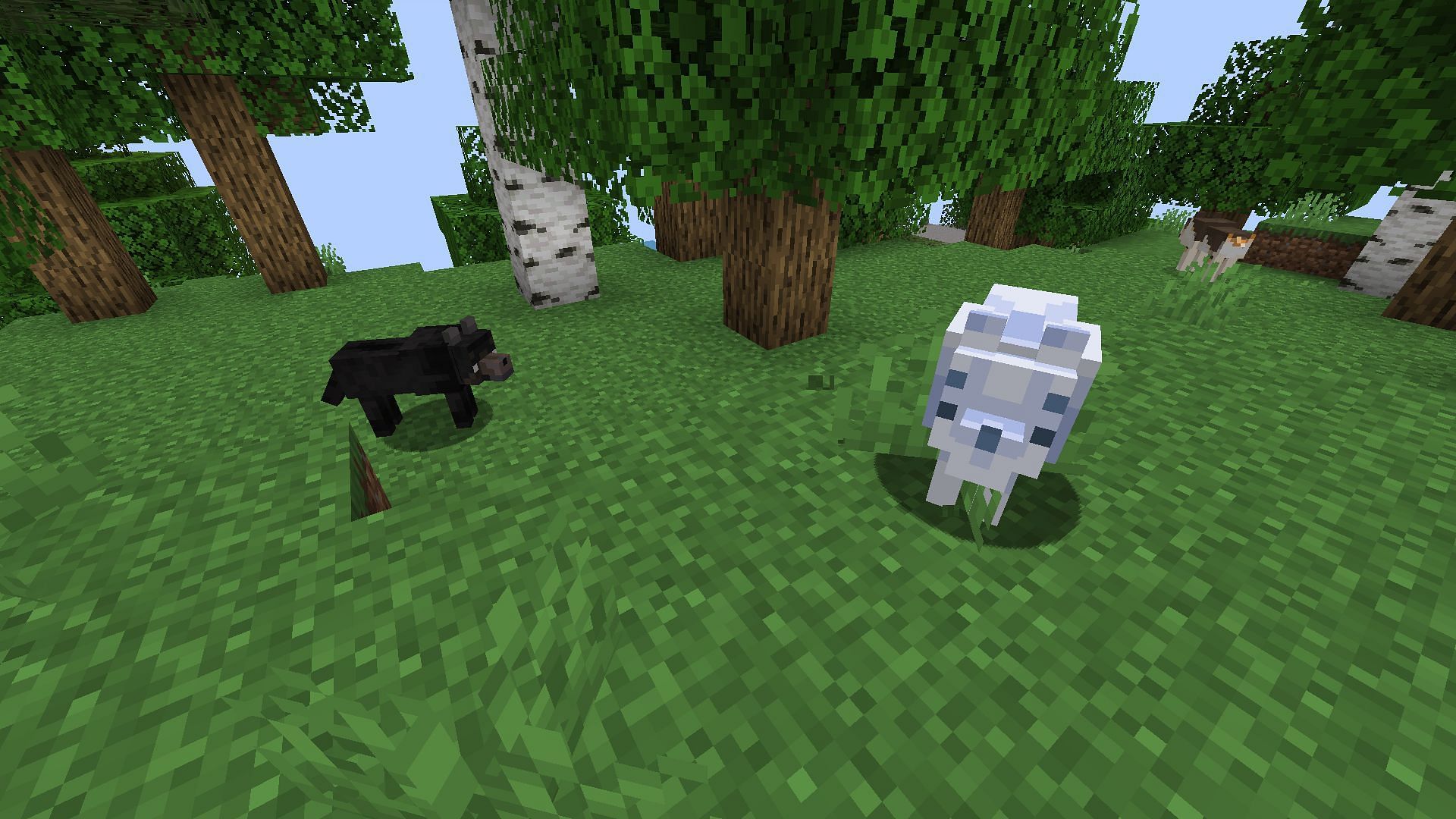 This resource pack only adds different skins without changing the shape and size of dogs in Minecraft (Image via Mojang)