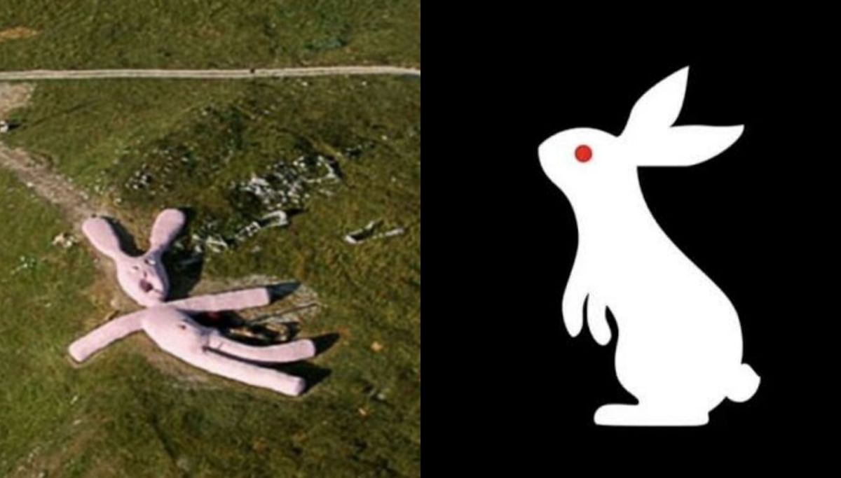 3 WWE Superstars who have teased being the White Rabbit