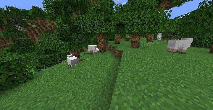 Forest in Minecraft