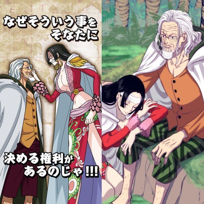 One Piece Should Boa Hancock join the Straw Hat fleet?