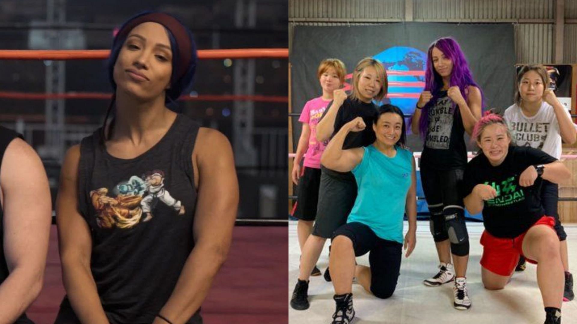 Sasha Banks could open a wrestling academy