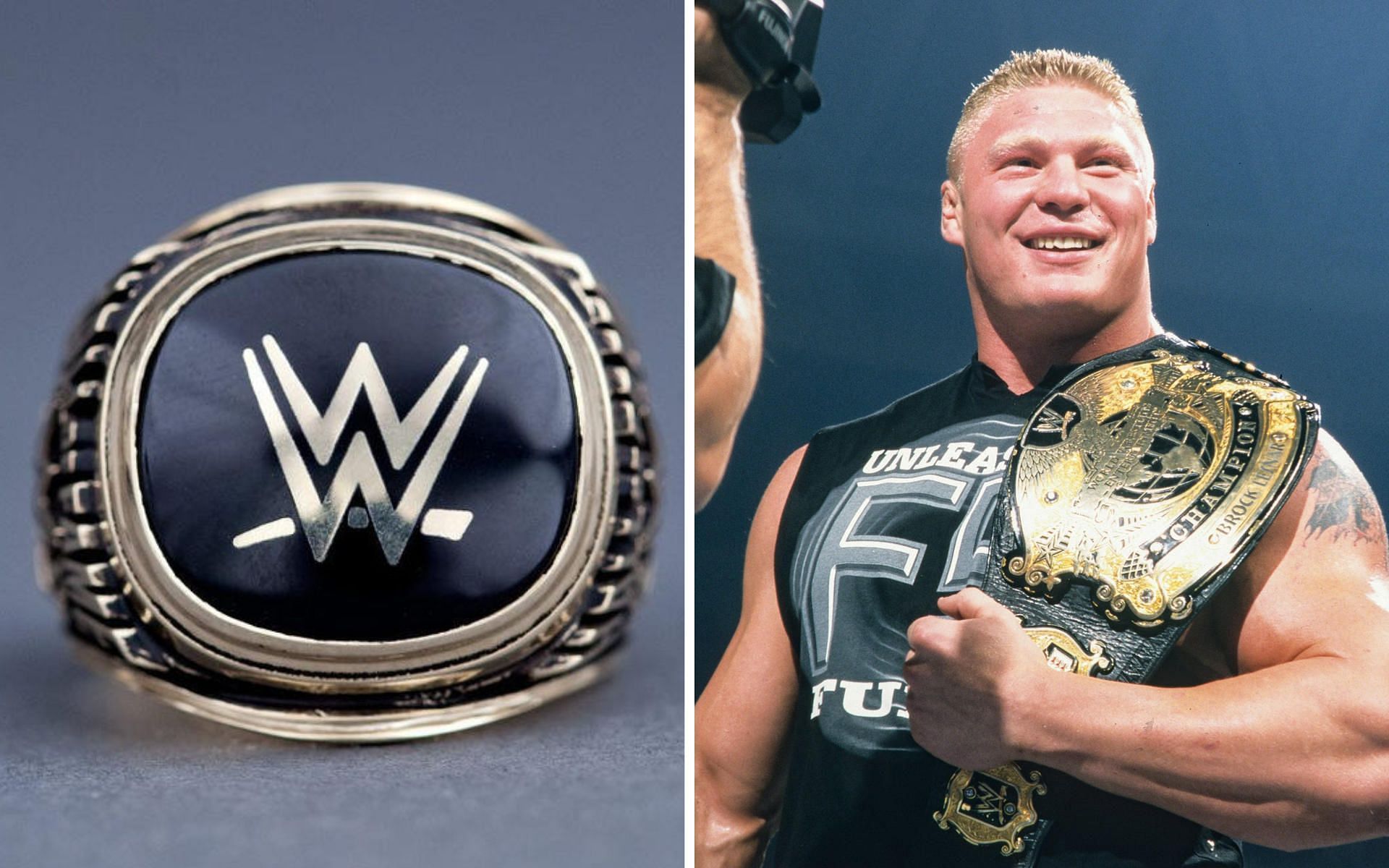 Brock Lesnar is a former WWE Champion!