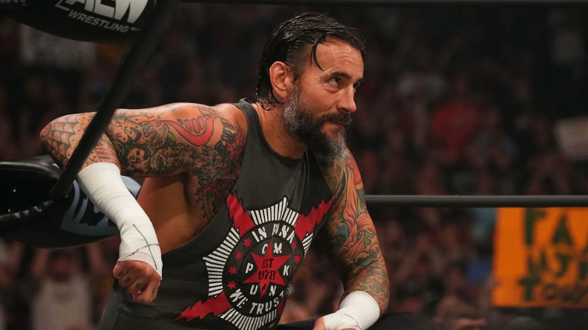 Current AEW Champion CM Punk in the ring