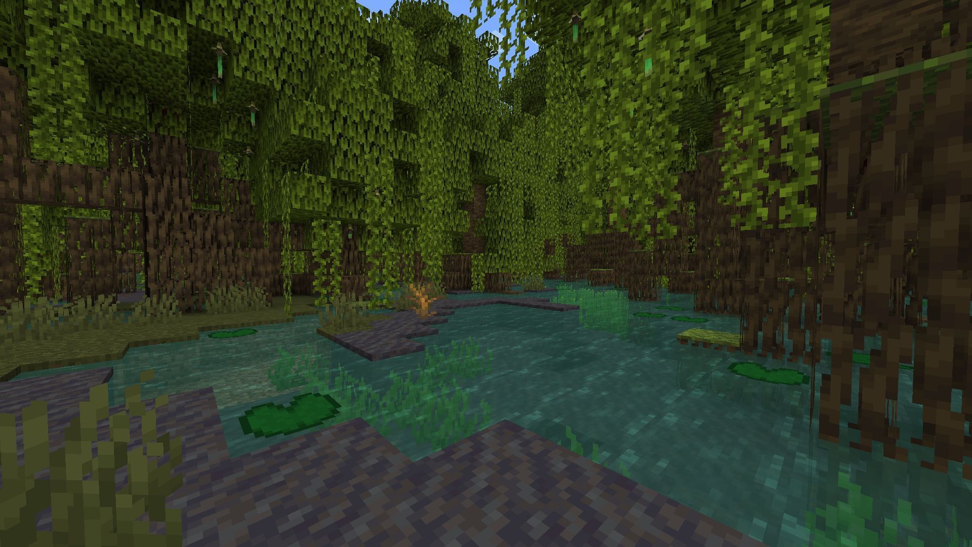 Massive Mangrove Swamp biome area in Minecraft (Image via Mojang)