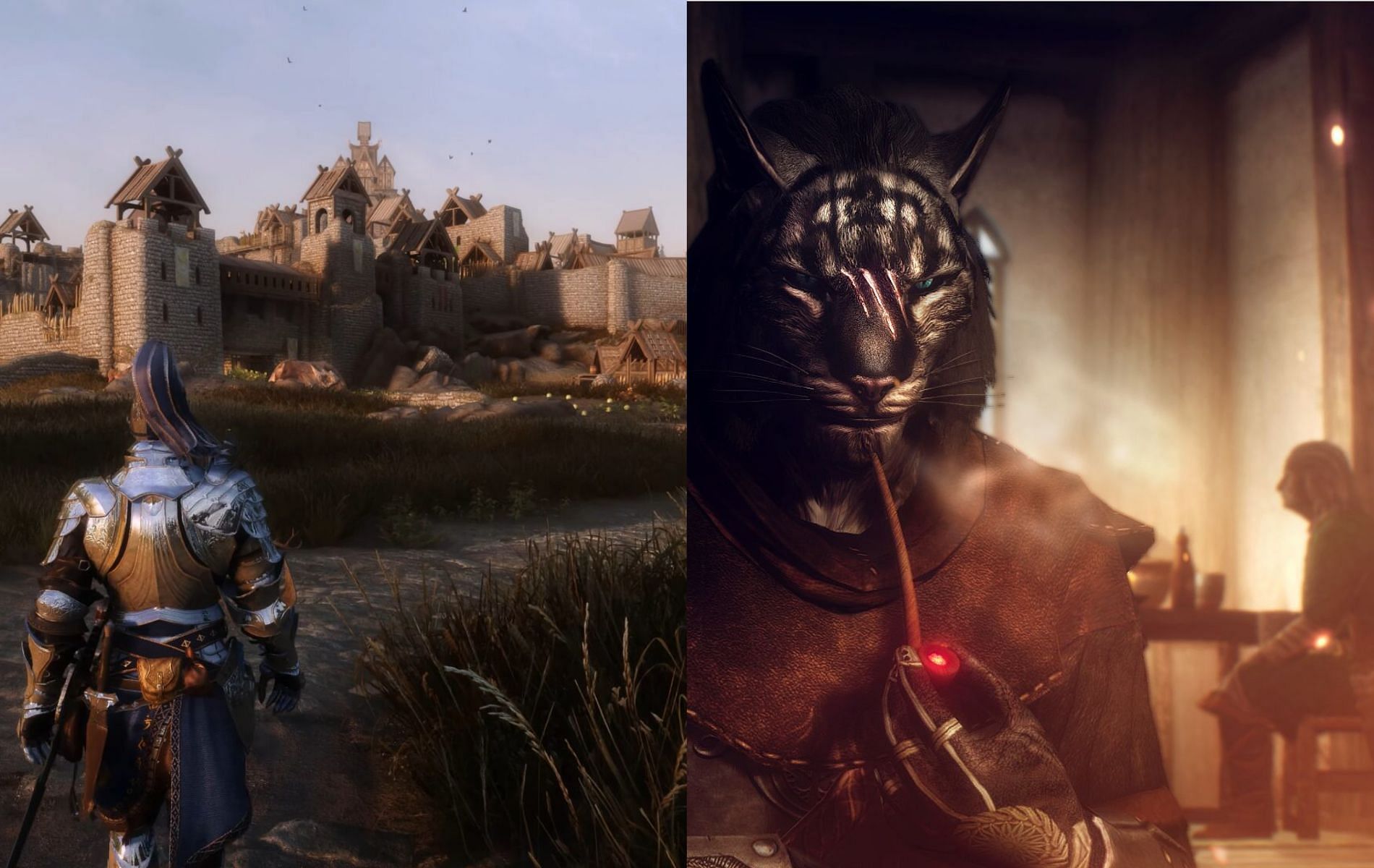 The Skyrim universe has produced some of the most entraling lore and lively characters (Images via Bethesda Softworks)