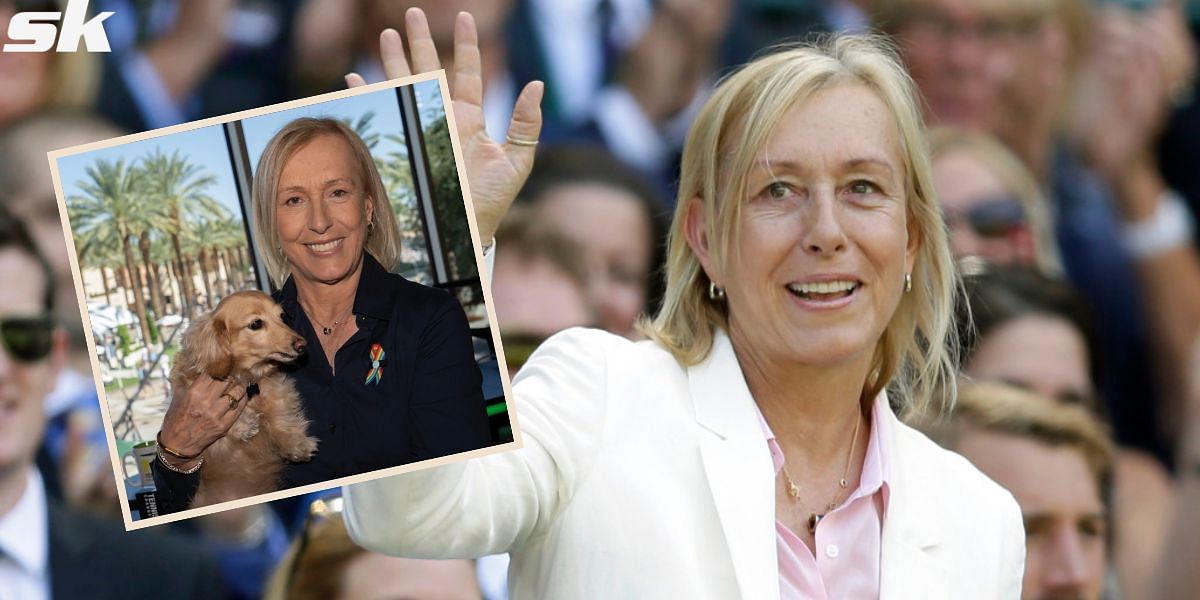 Meet Martina Navratilova&rsquo;s adorable US Open work companion Lulu