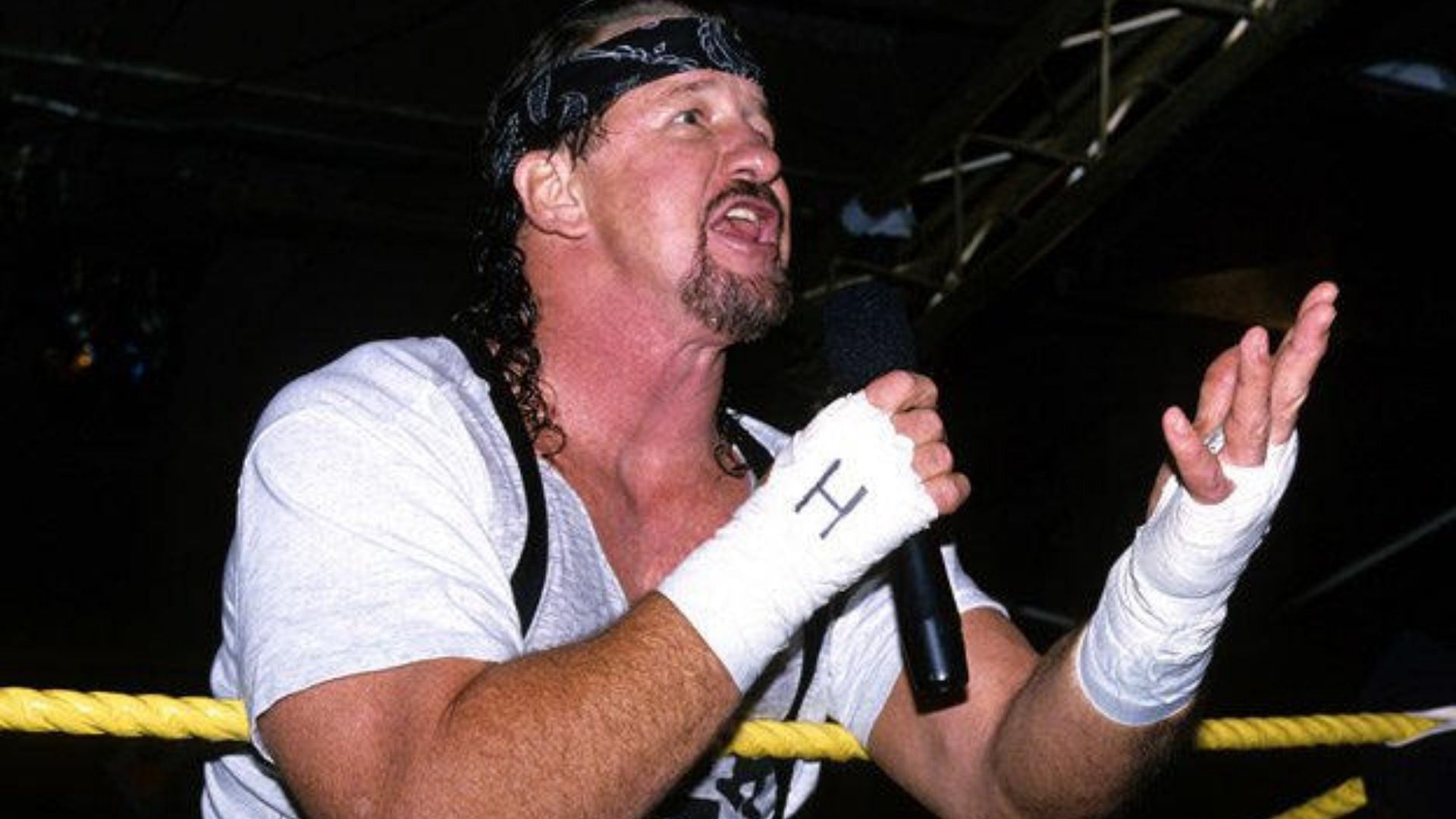 2009 WWE Hall of Fame inductee Terry Funk