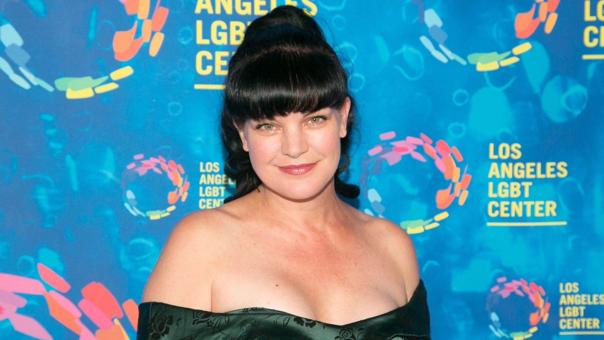 Pauley perrette boobs