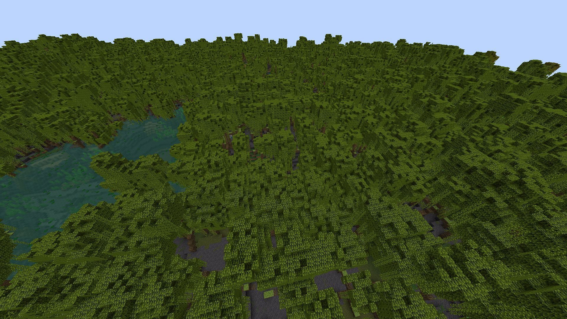 A massive Mangrove Swamp biome in large biomes world type in Minecraft (Image via Mojang)