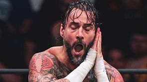 WWE veteran criticizes top AEW heel's return segment featuring CM Punk for 'lack of physicality'