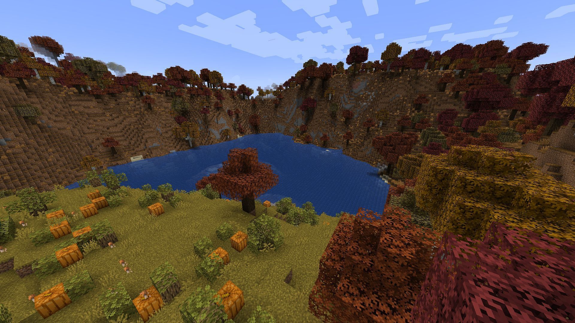 A seasonal forest biome in Minecraft 1.19