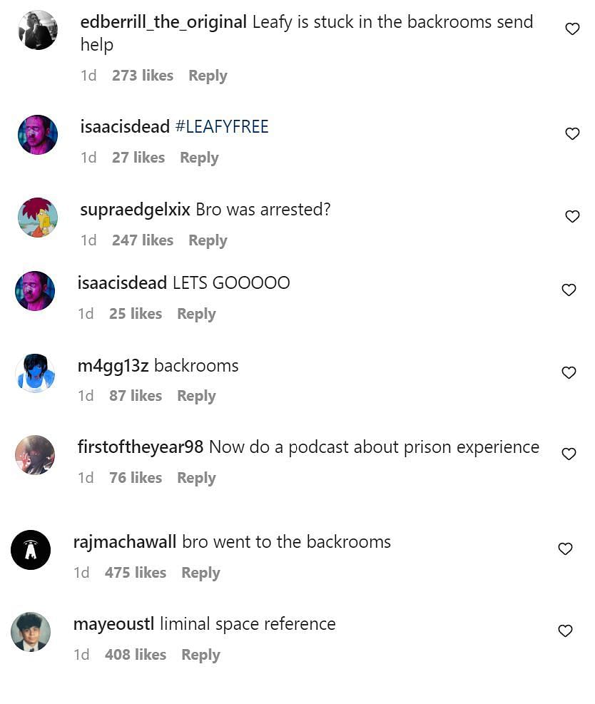 Fans react to Leafy&#039;s post (Image via leafyislucky/Instagram)