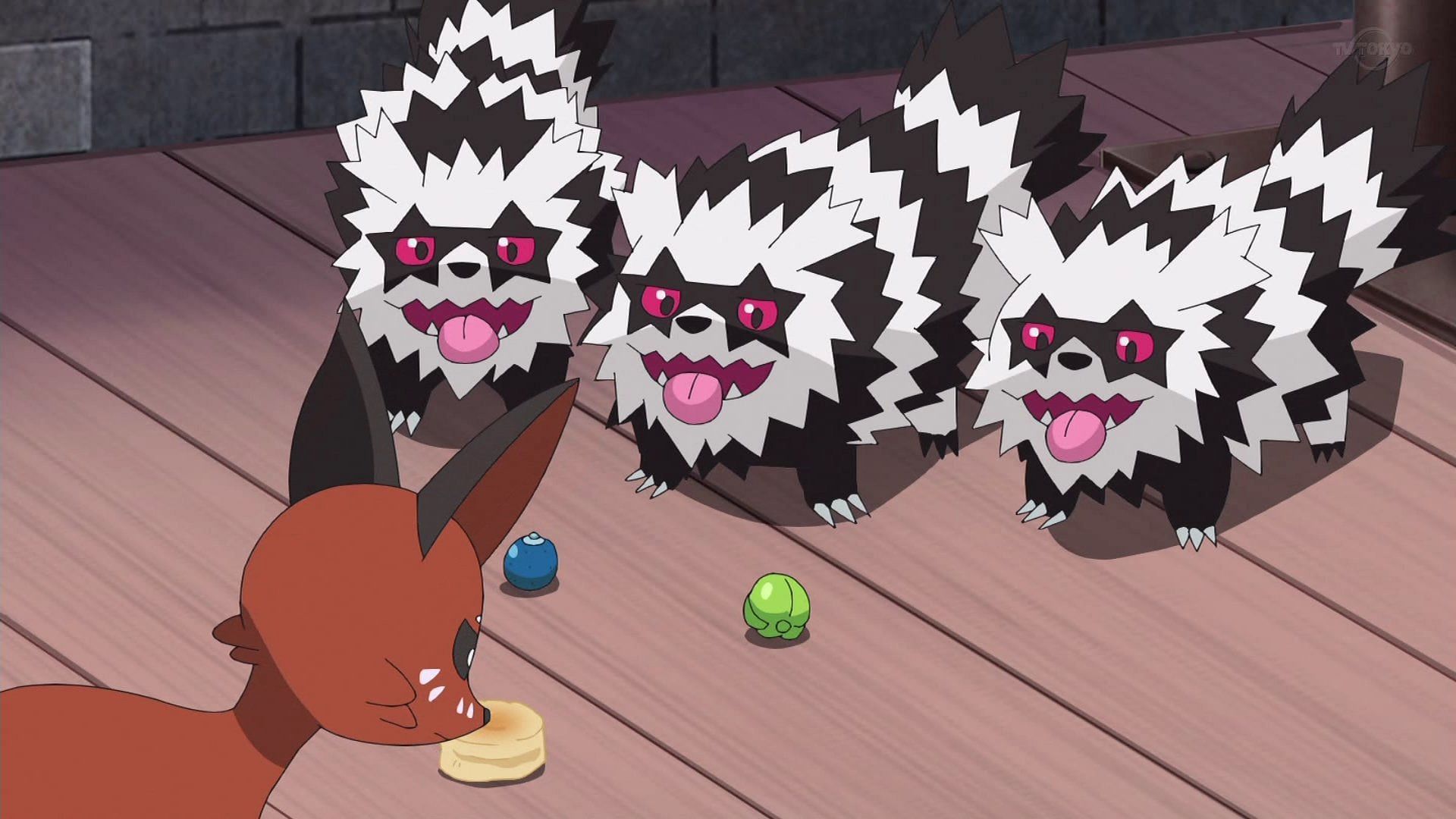 Nickit and Zigzagoon in the preview of Pokemon Journeys episode 127 (Image via OLM Incorporated)