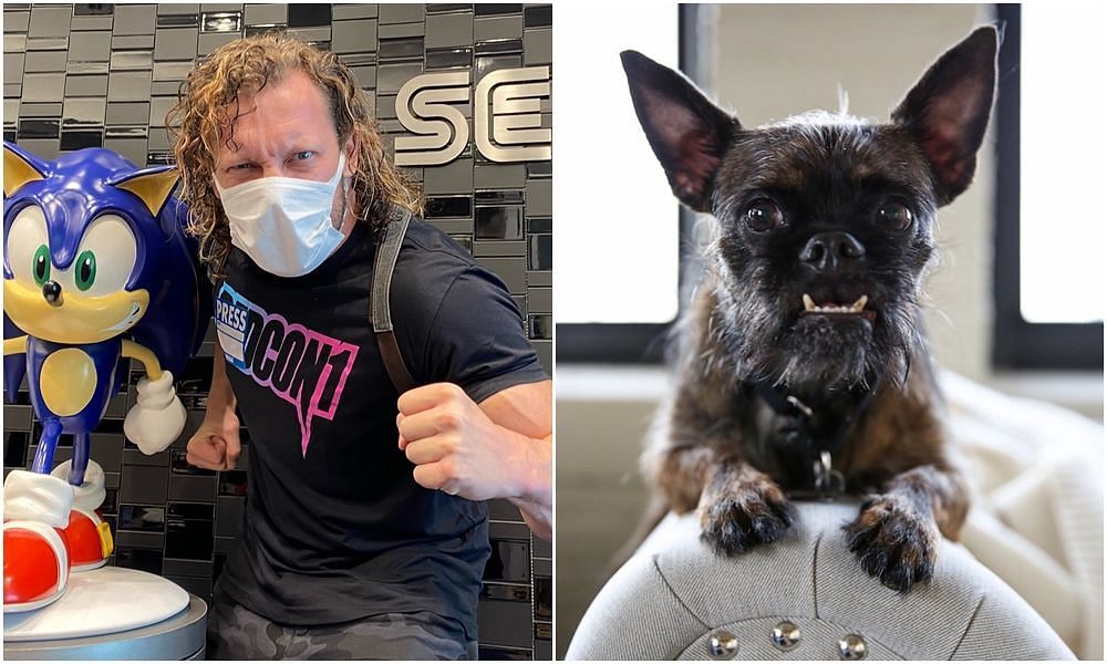 Kenny Omega was bitten during the AEW All Out backstage brawl