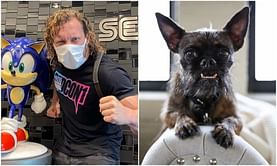 "Don’t see how he got bit by saving the dog" - Wrestling veteran questions Kenny Omega's 'injury' during the AEW All Out backstage melee