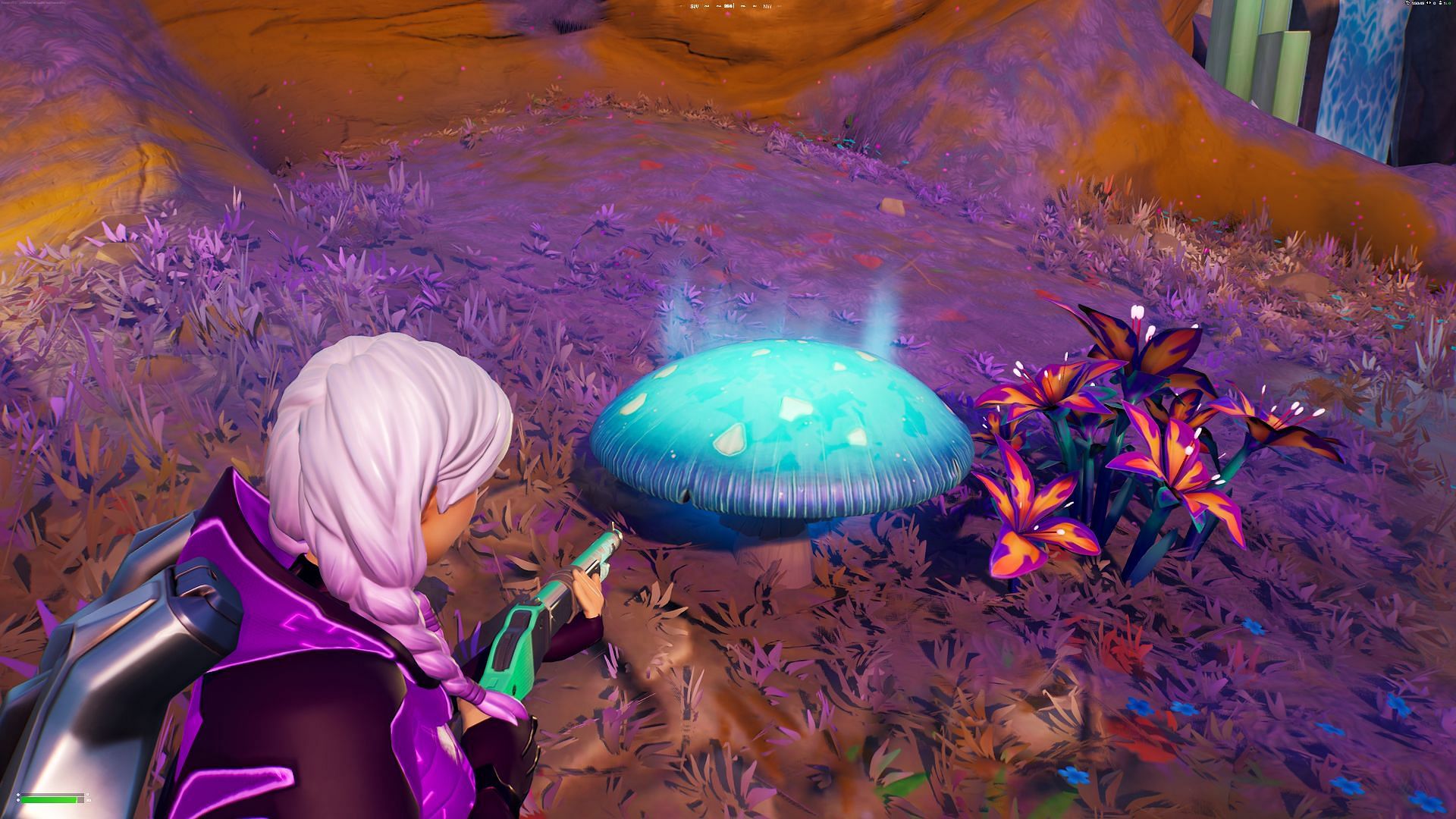 Step onto Bouncy Mushrooms to gain shields at the Reality Tree (Image via Epic Games/Fortnite)