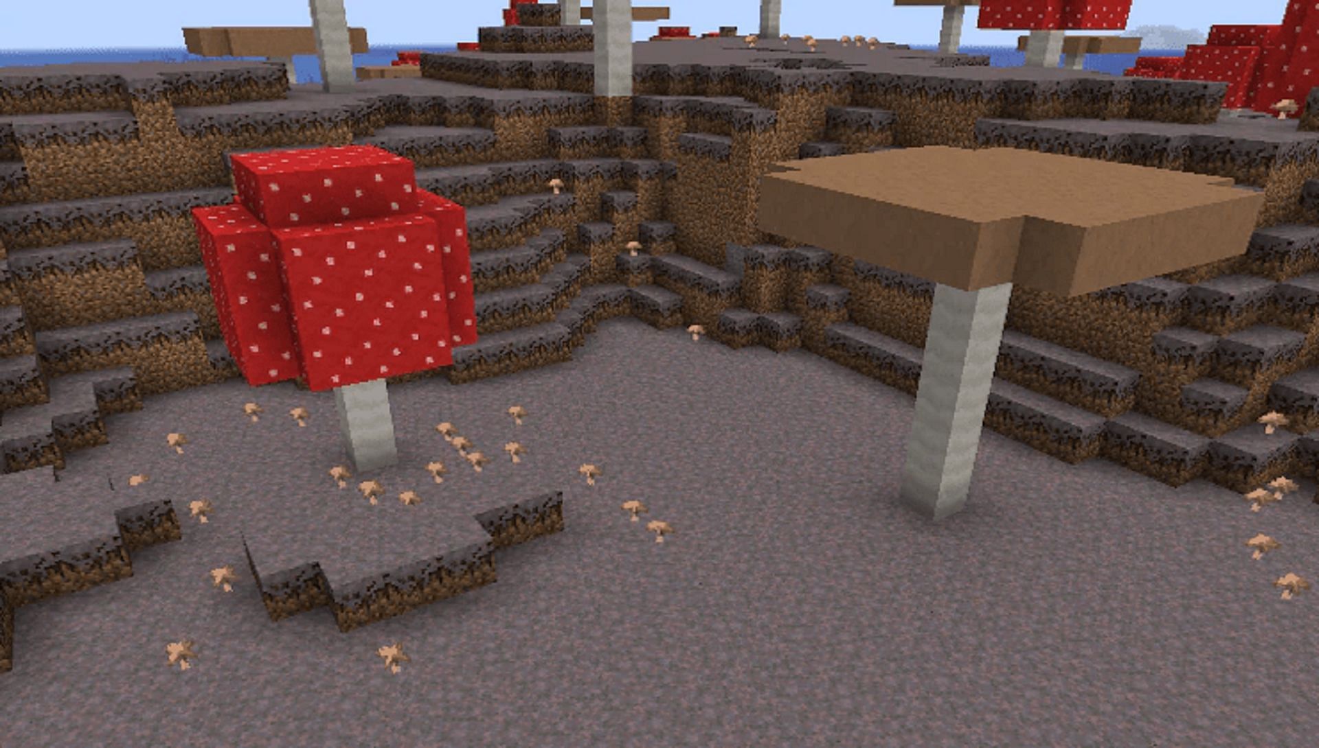 Mushroom field biomes make for excellent starting points (Image via Minecraft.net)