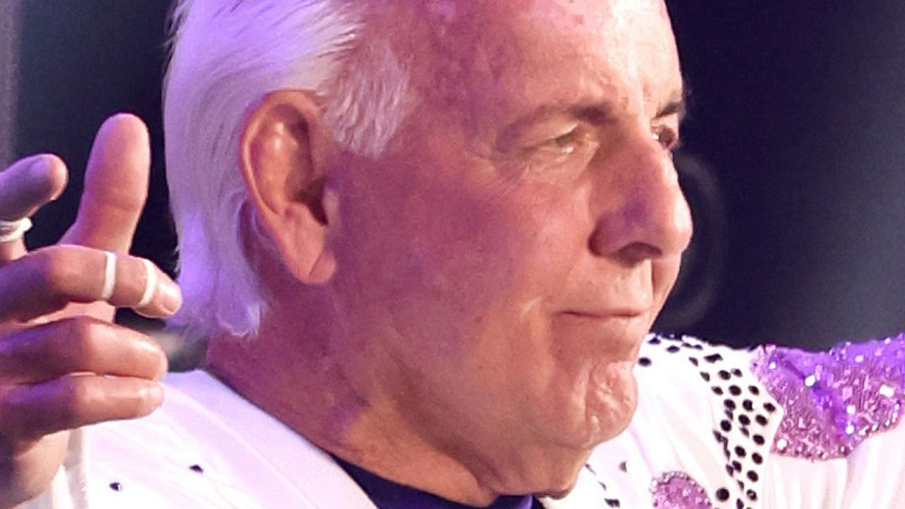 WWE legend Ric Flair posing for the crowd
