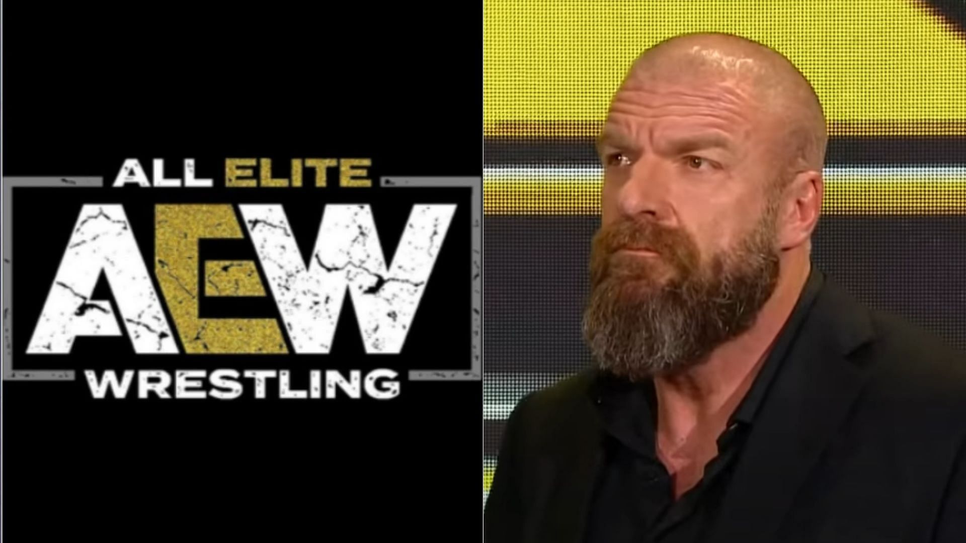 Triple H founded the NXT brand.
