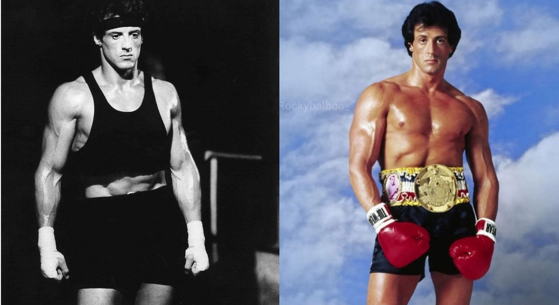 To get legendary arms like Sylvester Stallone, you will need to exercise your forearms as well as biceps (Image via Instagram)