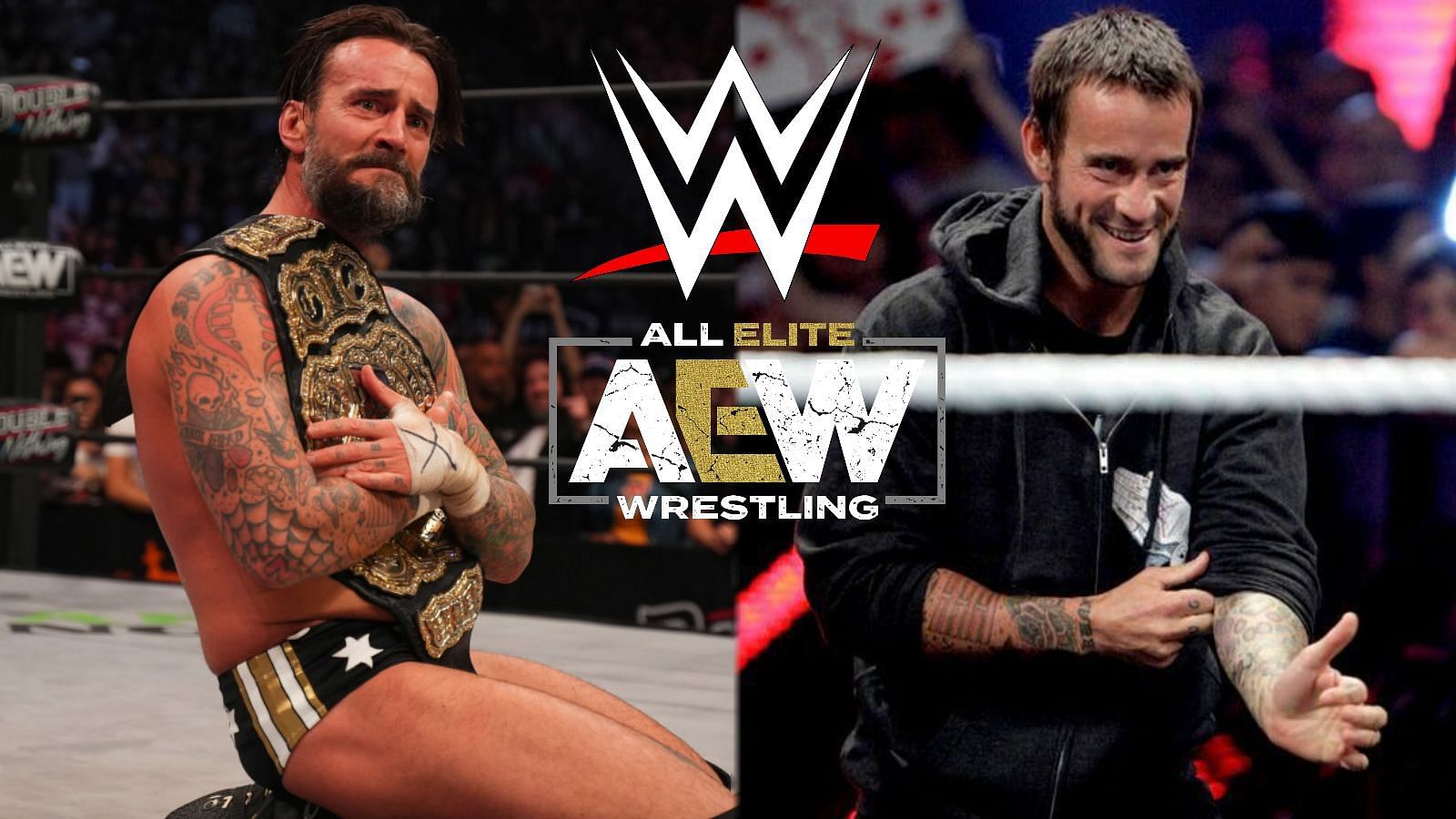 CM Punk has been in the wrestling industry for 22 years.