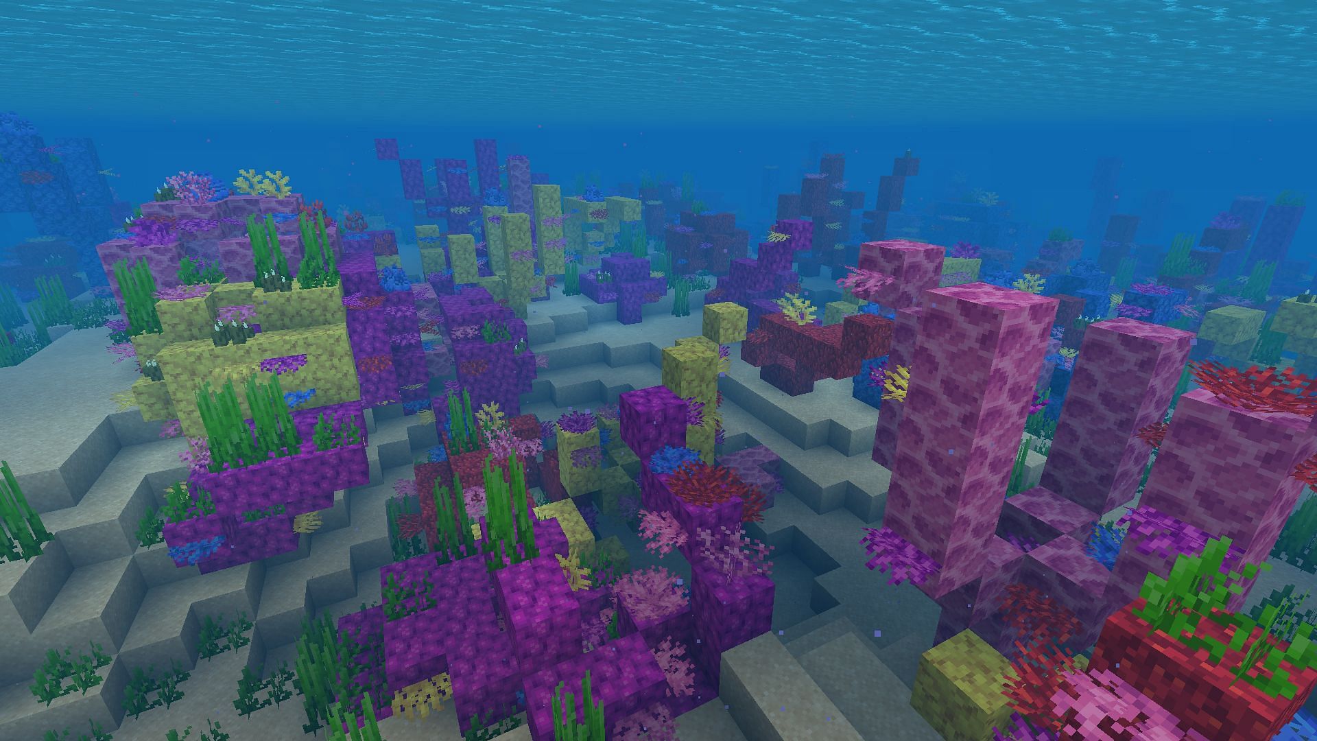 Loads of new animal mobs can be added to ocean biomes in Minecraft (Image via Mojang)