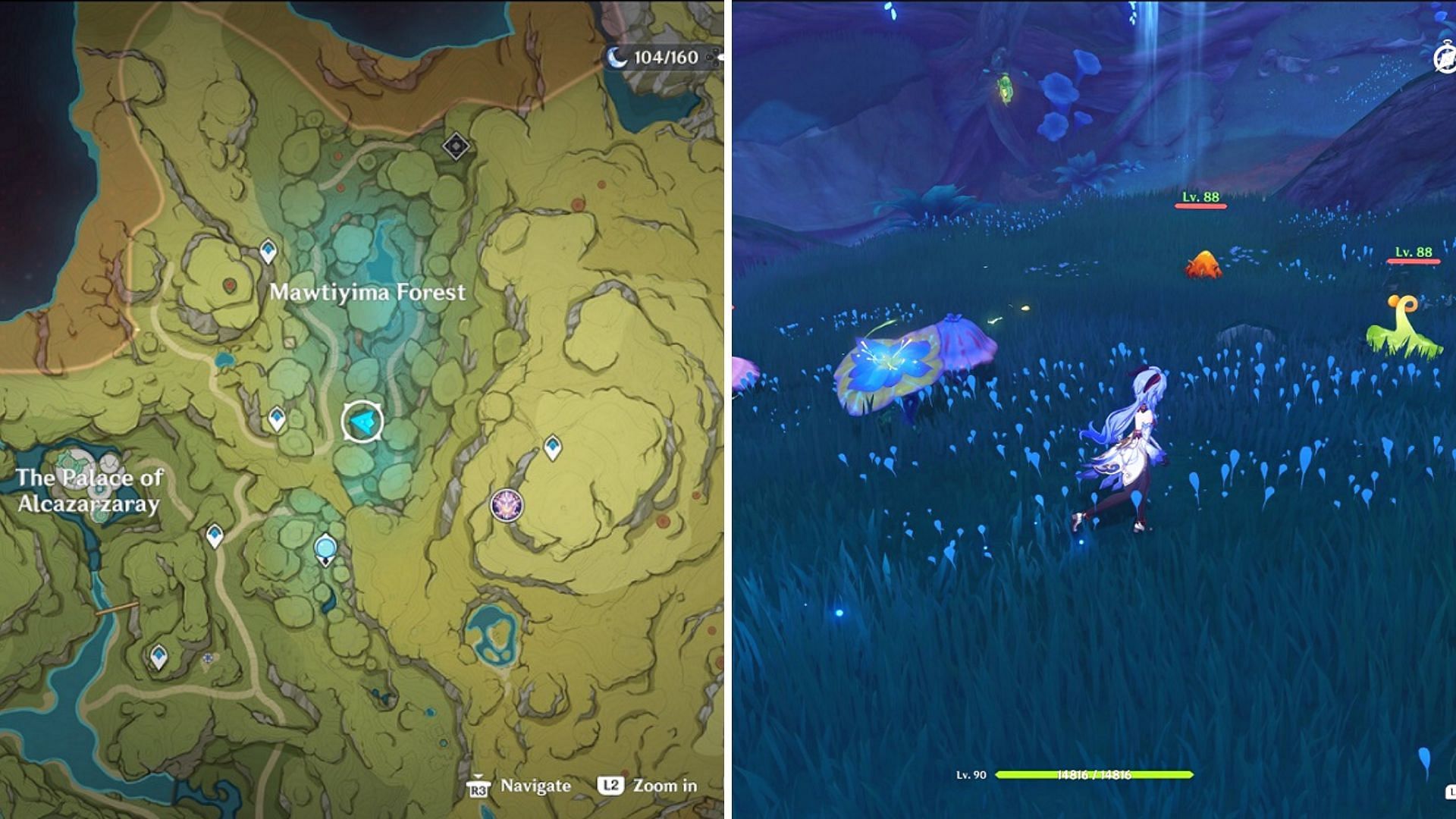 The second rune arrow puzzle is located in Mawtiyama Forest (Image via Genshin Impact)