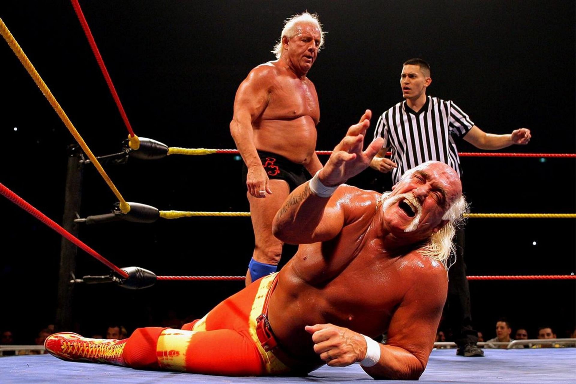 Ric Flair wrestling Hulk Hogan during Hogan&#039;s Austrailian Tour in 2009.