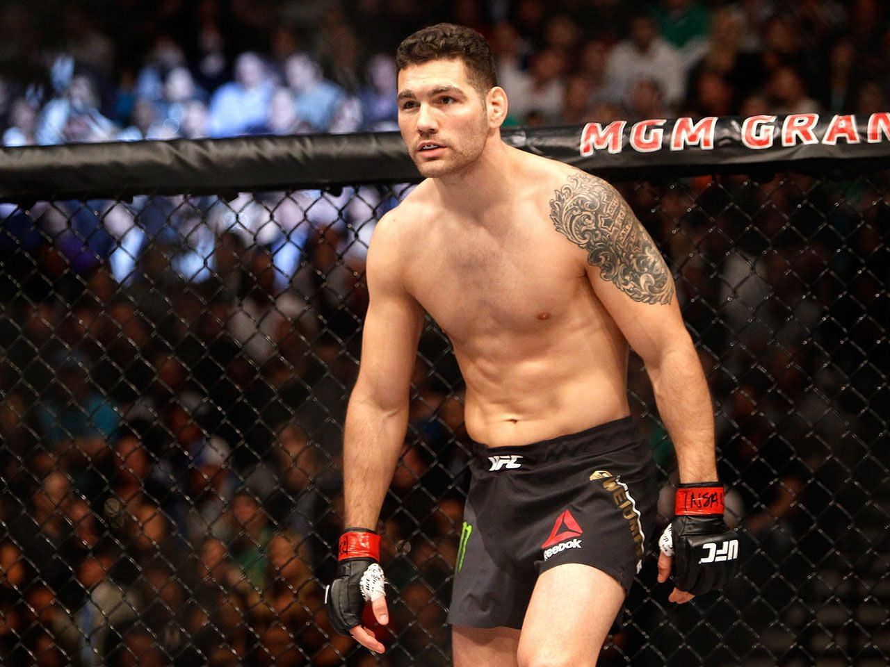Chris Weidman suffered a quick downfall after losing his middleweight crown