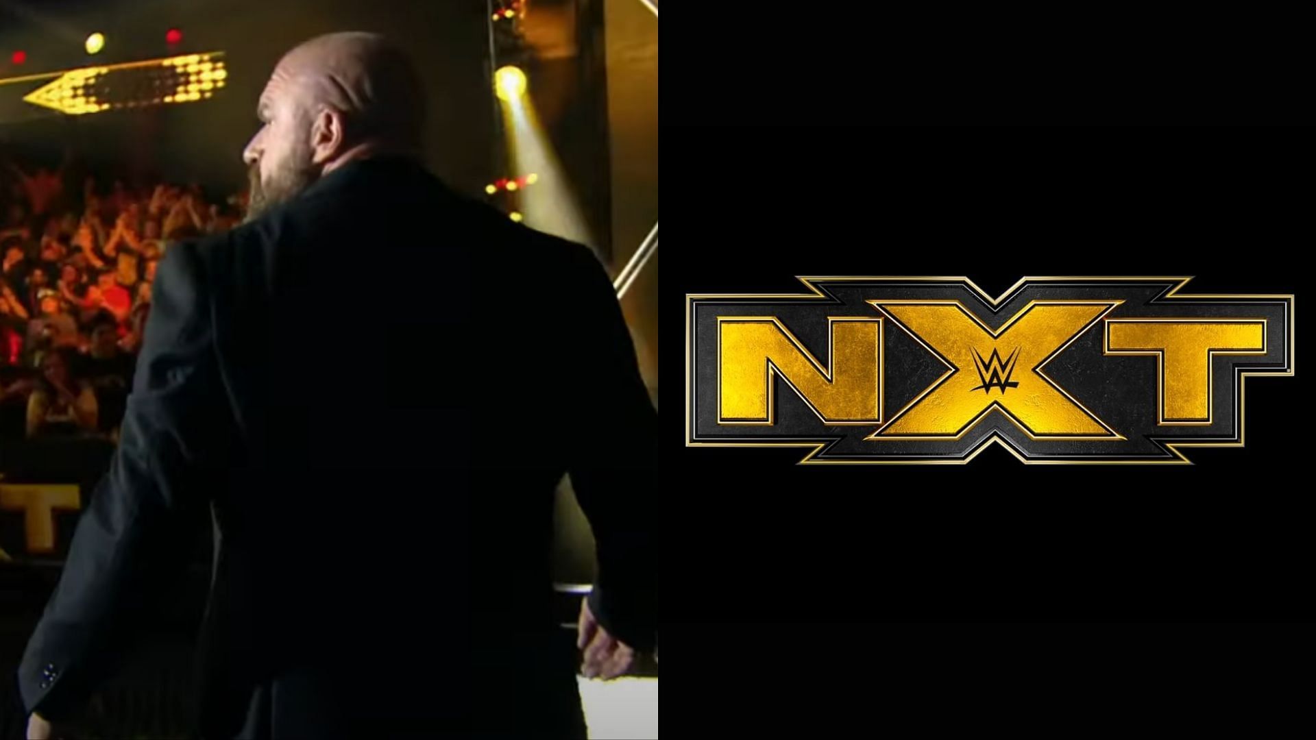 Triple H is the founder of WWE NXT.