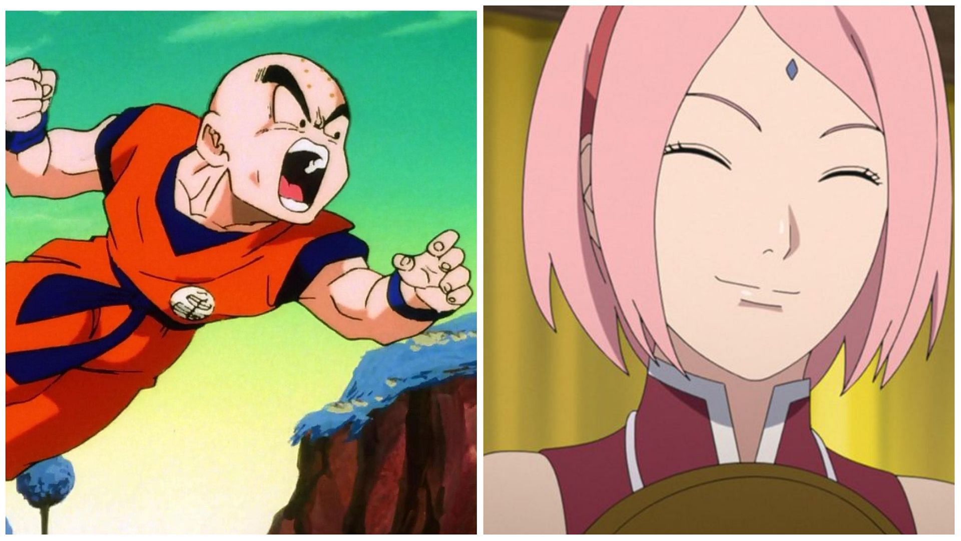 Understanding why Krillin and Sakura are called useless (Image via Toei Animation and Pierrot)