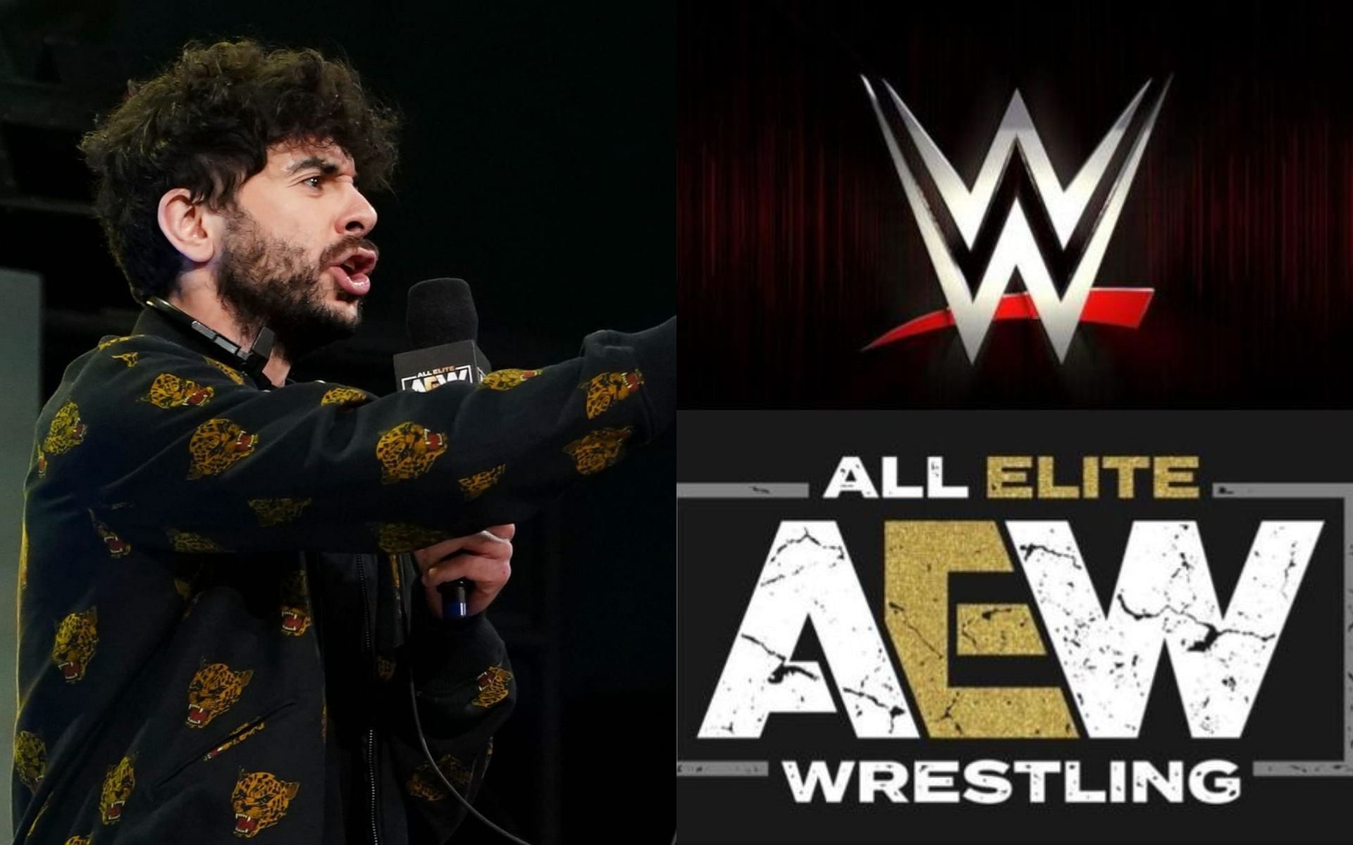 A WWE Hall of Famer wants Tony Khan to fire this AEW star.