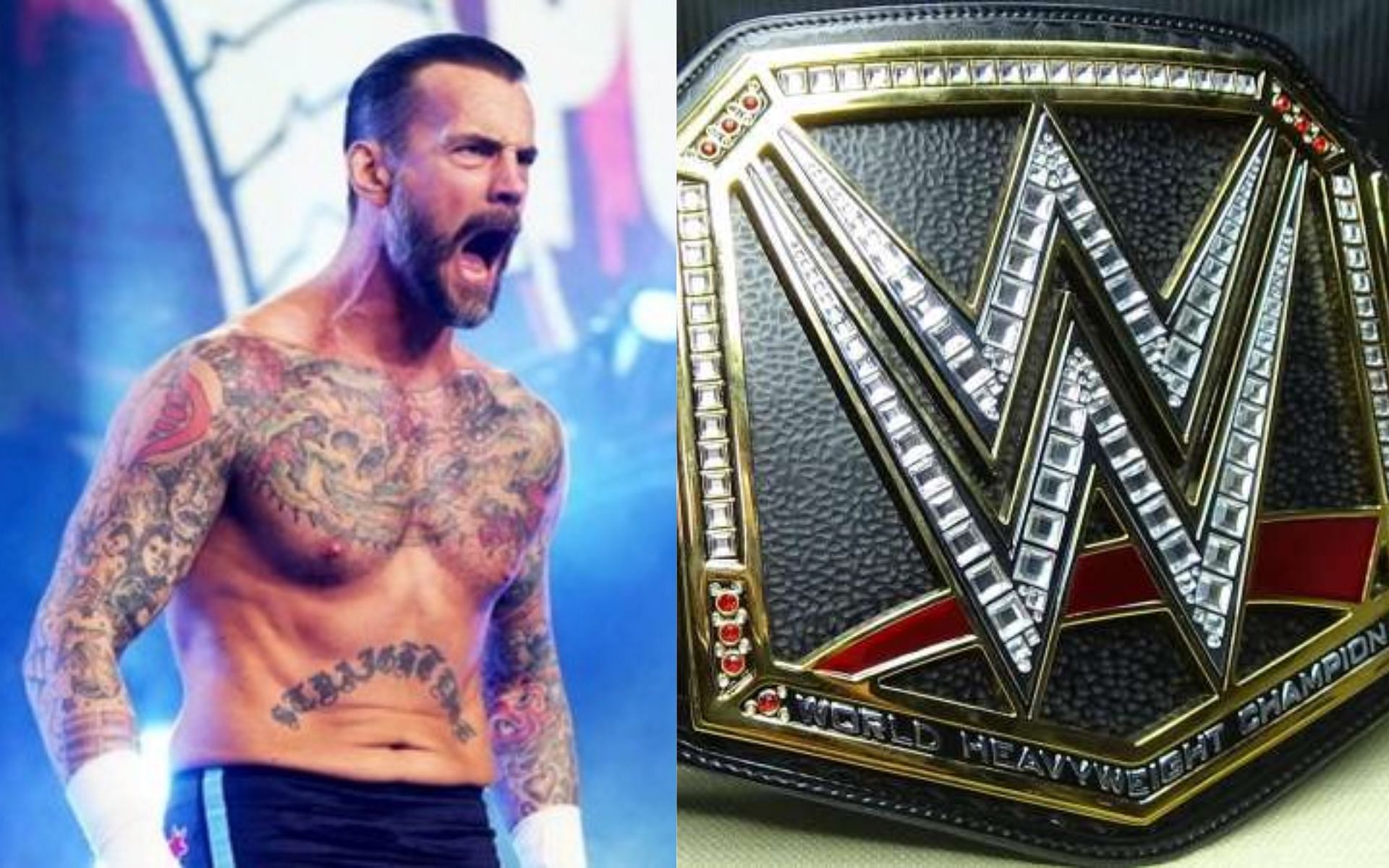 CM Punk once had a memorable program with a former WWE Champion.