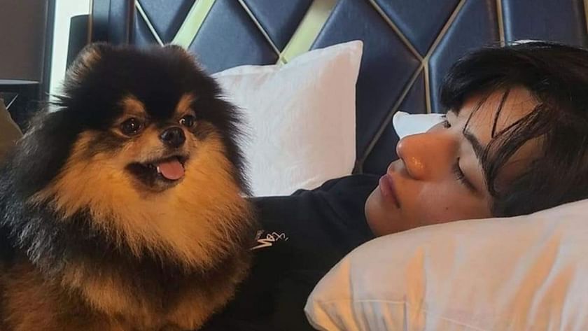 BTS' V Pays A Heartwarming Tribute To His Dog Yeontan With 'Rainy