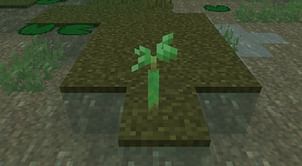 Mangrove propagule in Minecraft: Everything you need to know