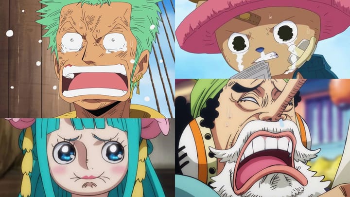 One Piece Chapter 1060 Teaser Has Fans Perplexed And Disappointed