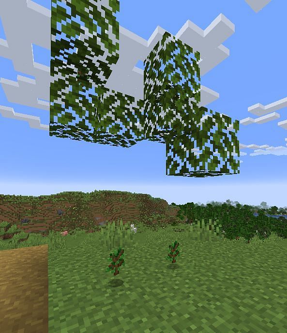Sapling in minecraft