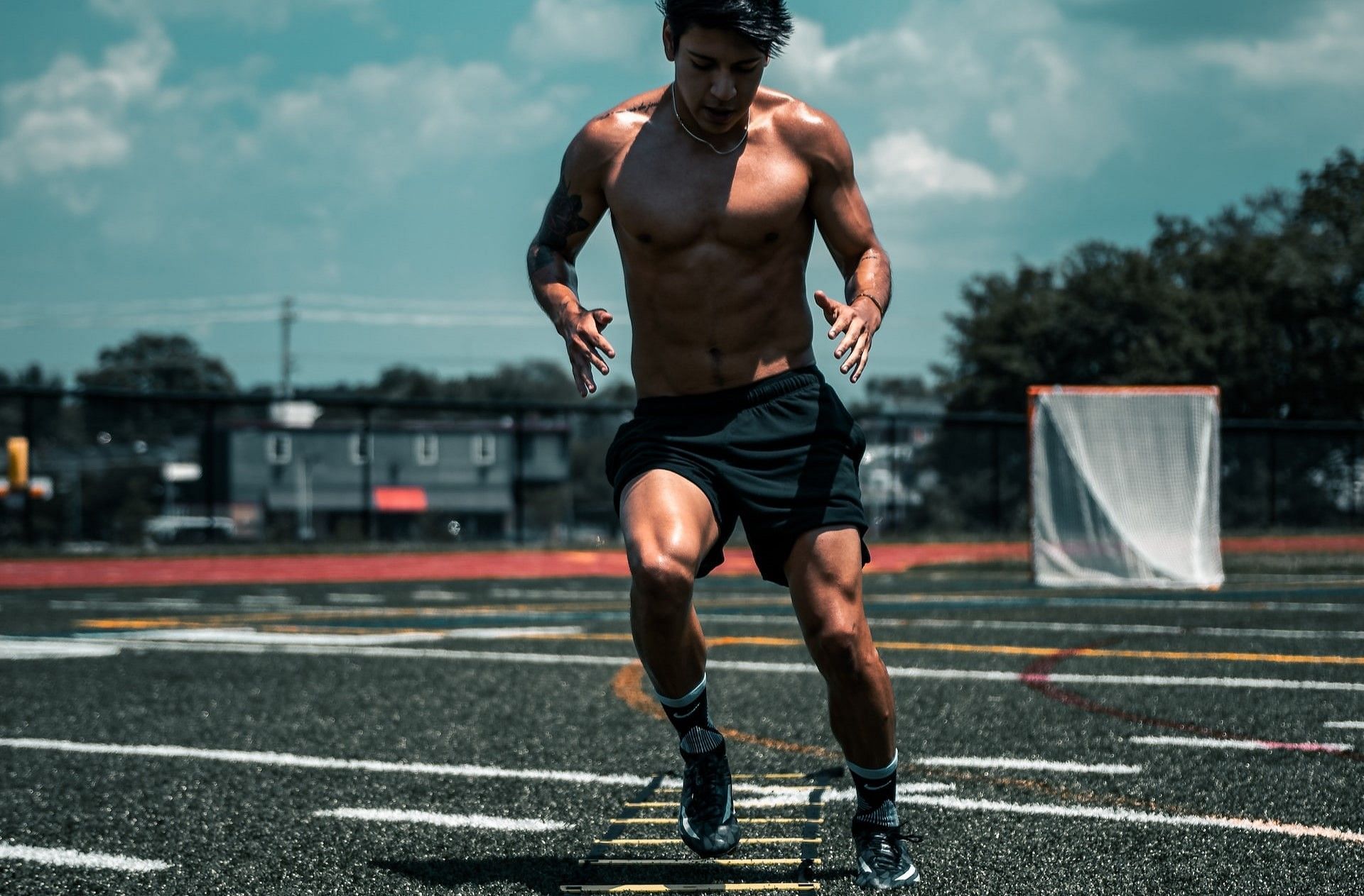Which Is Better For Athletes: Full Body Vs. Split Body Workout? – DMoose