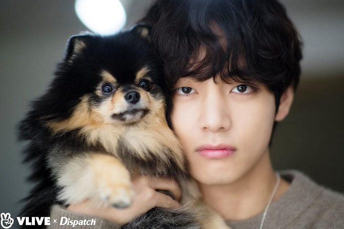 5 Moments That Captured Yeontan’s Life Through BTS V’s Lens