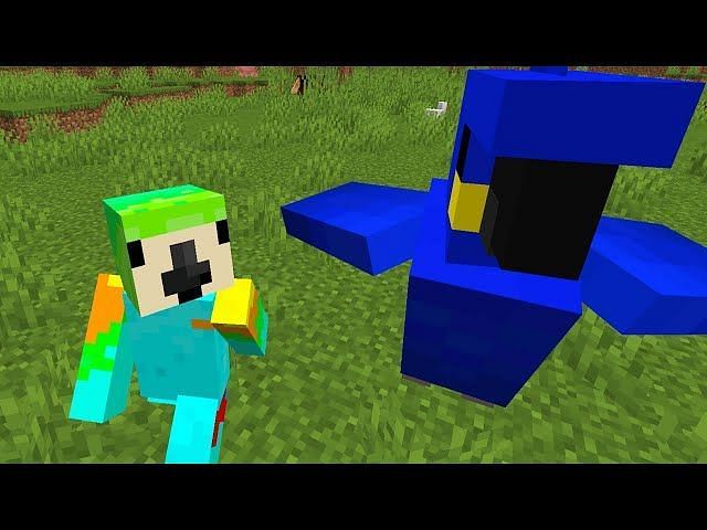 How to make parrots dance in Minecraft