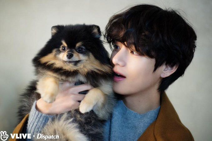 5 Moments That Captured Yeontan’s Life Through BTS V’s Lens