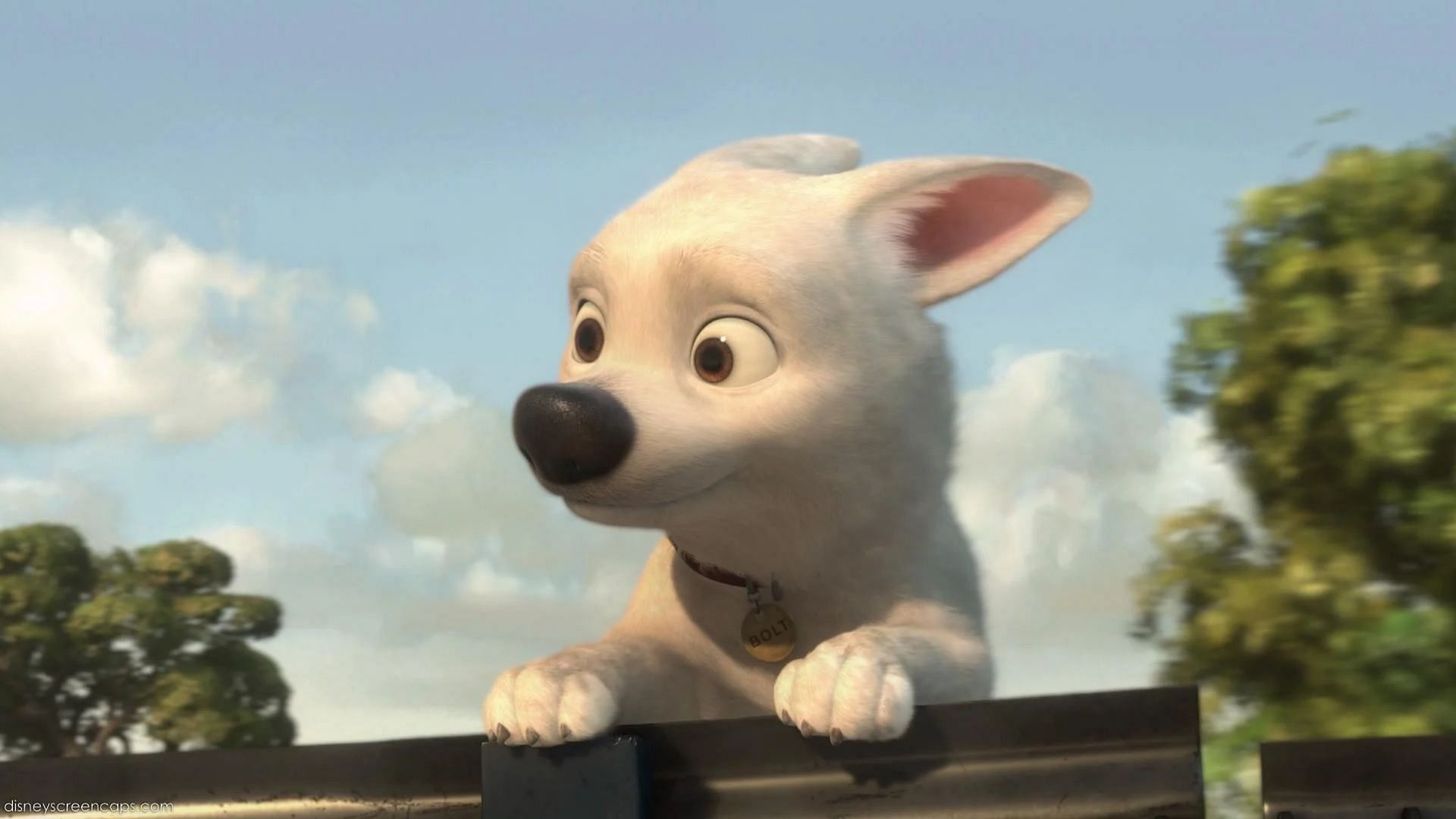 Bolt (Image via Disney)